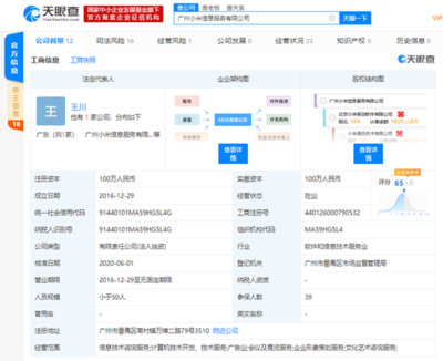 洪鋒卸任廣州小米信息服務法人等職位，信息技術咨詢服務業務調整引關注